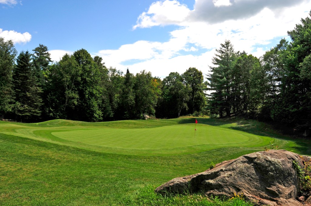 view of golf course green